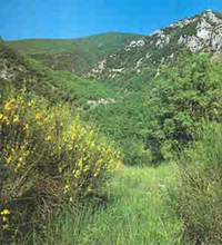 La Valle Scapuccia 